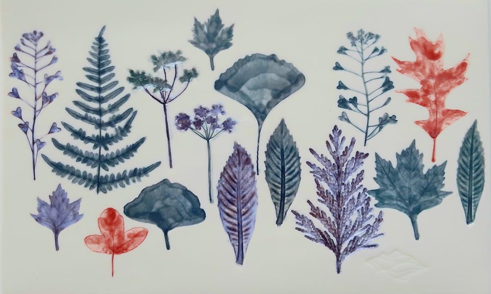Emanuela Mastria, A Forest, 2019